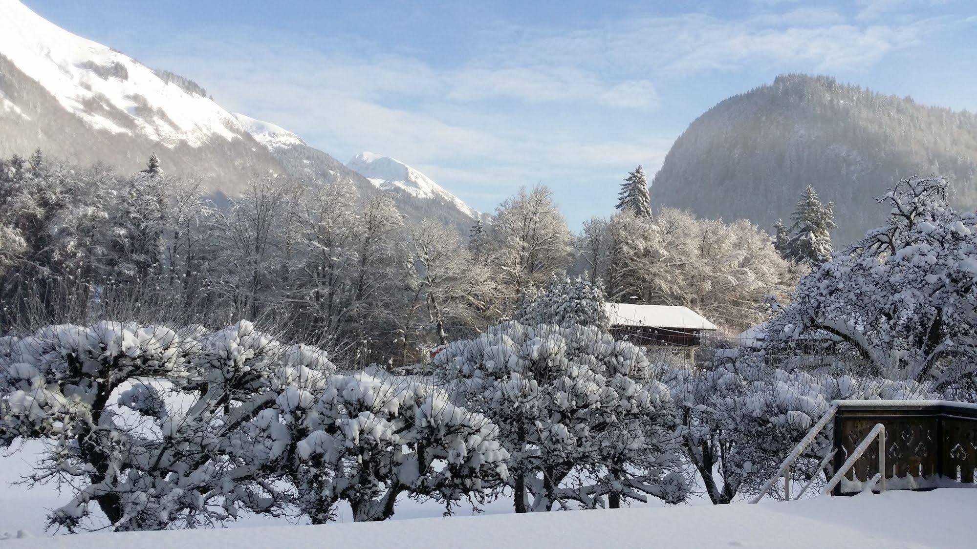 Hotel Les Fleurs Montriond Exterior photo
